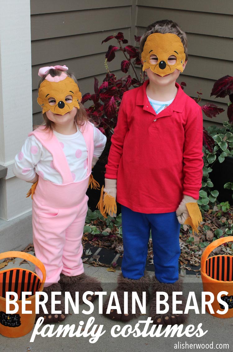 brother bear and sister bear costumes for kids